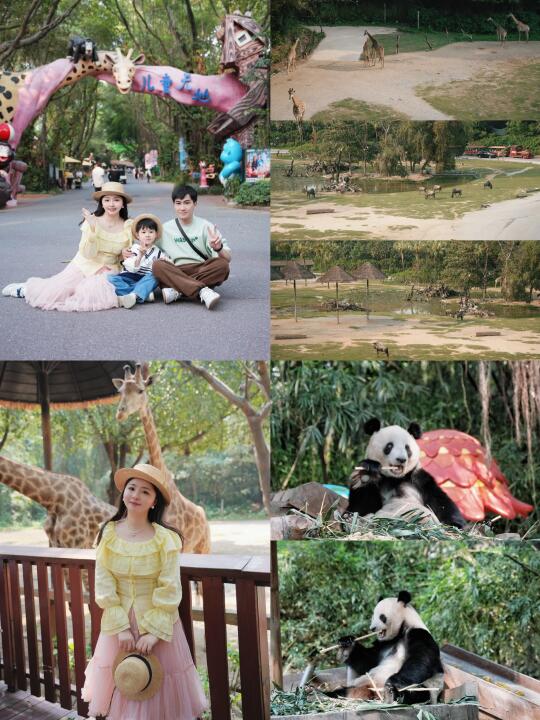 广州长隆3天2晚亲子旅行隐藏攻略+出片穿搭