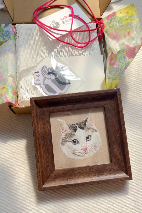 当小猫变成了一幅画