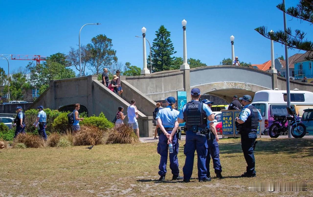 澳大利亚邦迪海滩枪击案已经过去四天，当地游客开始逐渐回归。案发当时被枪手用作射击