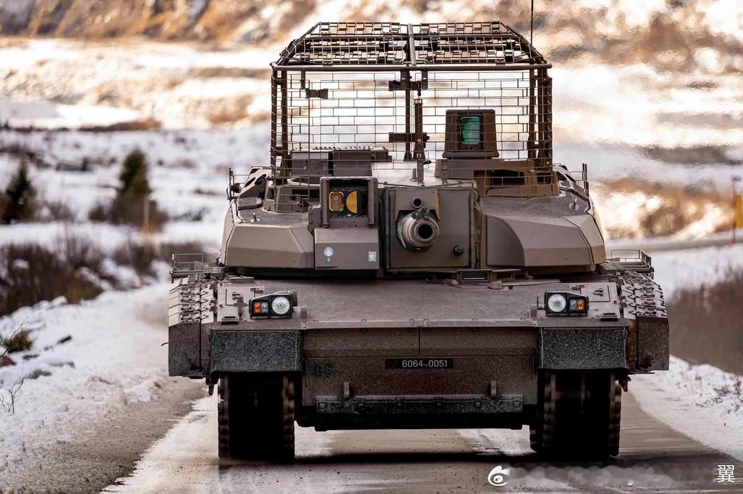 法国-瑞士联合军演中勒克莱尔的防无人机笼。 