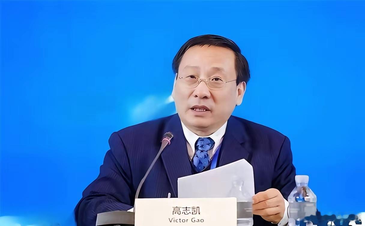 高志凯教授这个好主意值得点赞！高教授认为应该把台湾2300万人口的户口簿认真查一