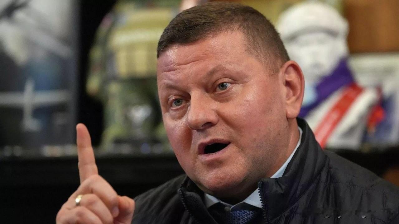 🇺🇦乌克兰前武装部队总司令瓦列里·扎卢日尼在《每日电讯报》专栏撰文指出，西方