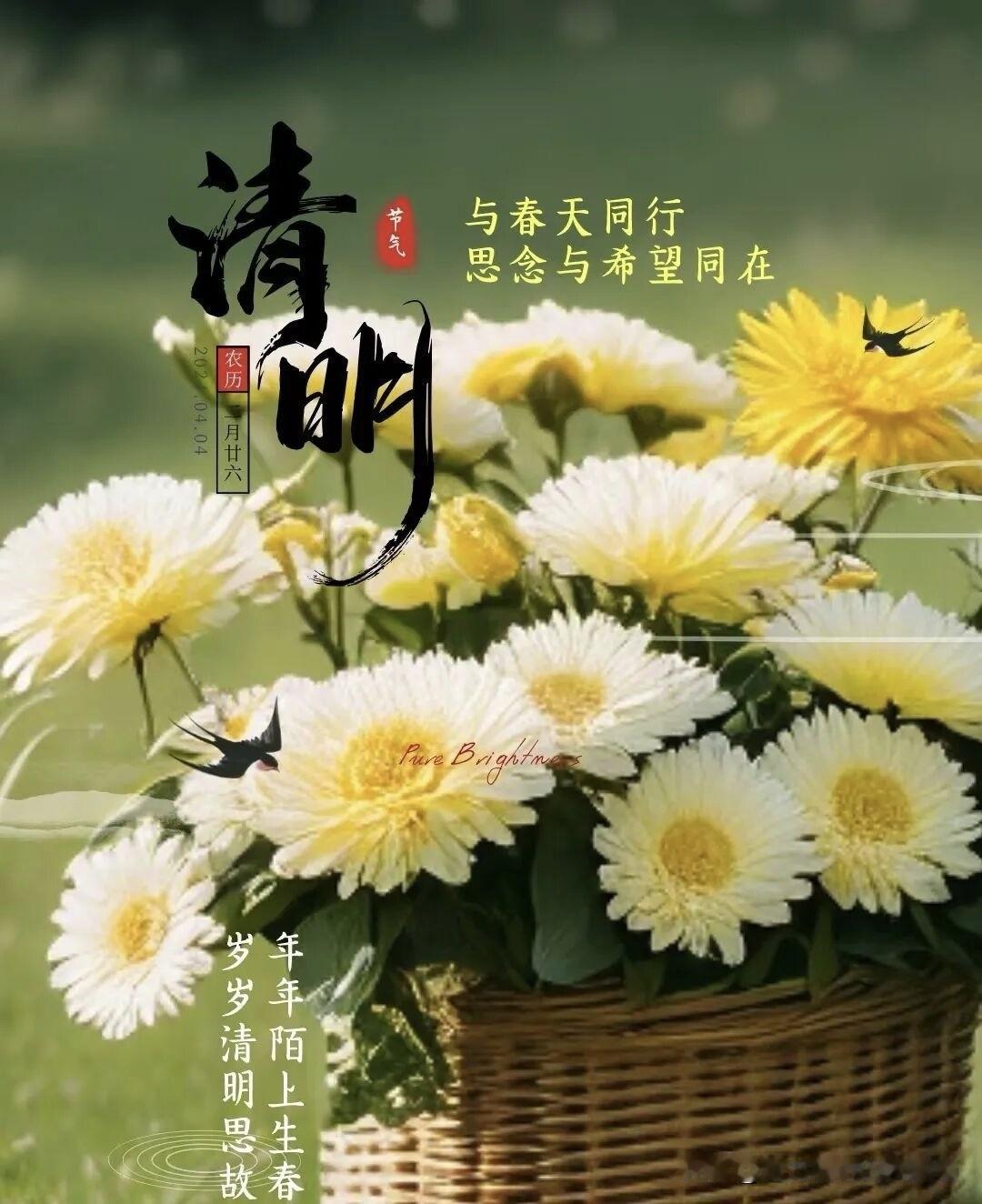 清明时节雨纷纷，宝马香车来回路