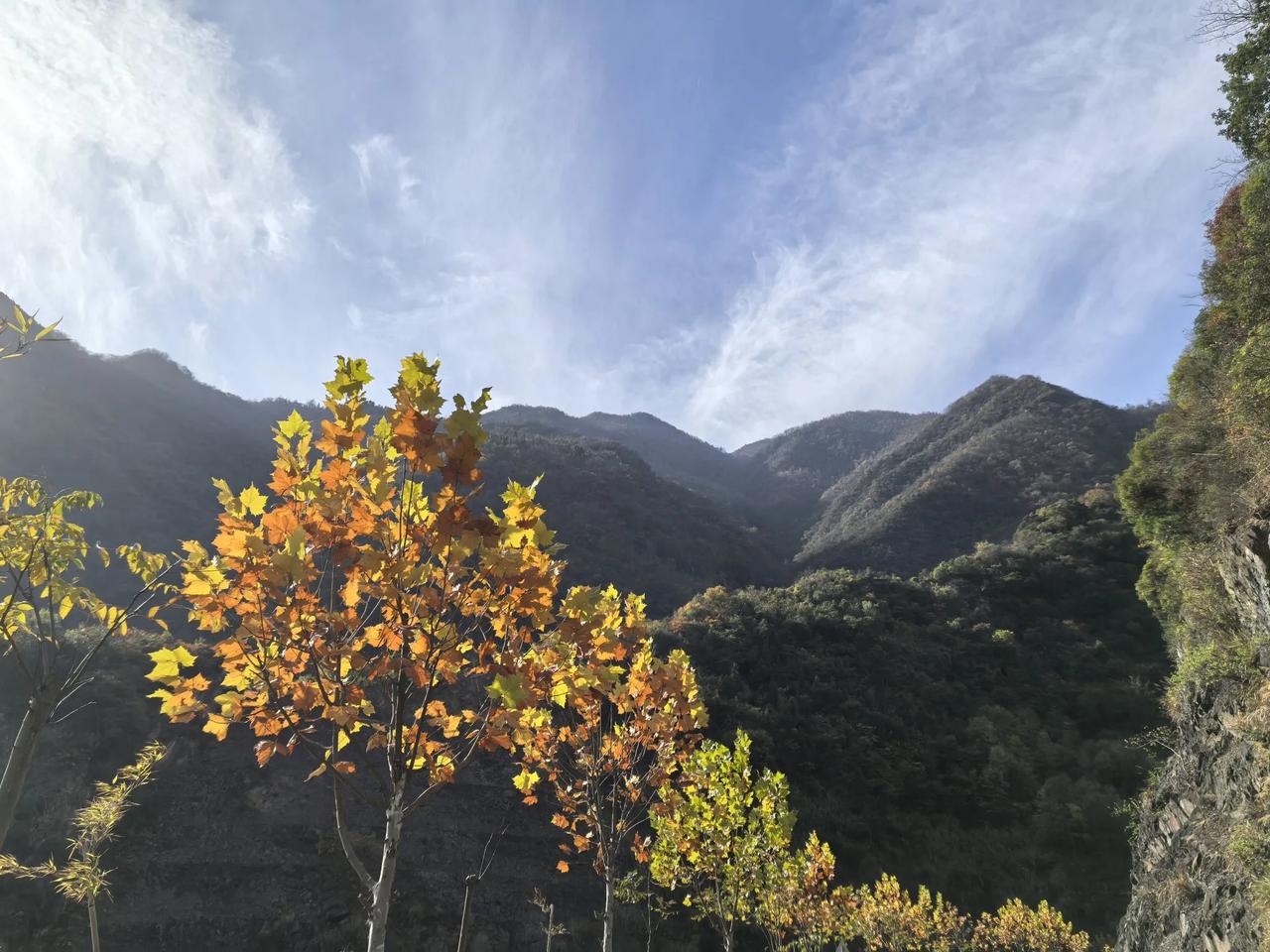 分享一张最近随手拍的照片冬日，一抹暖阳，一树红叶，漫谷在这样的山谷，静静感受岁月