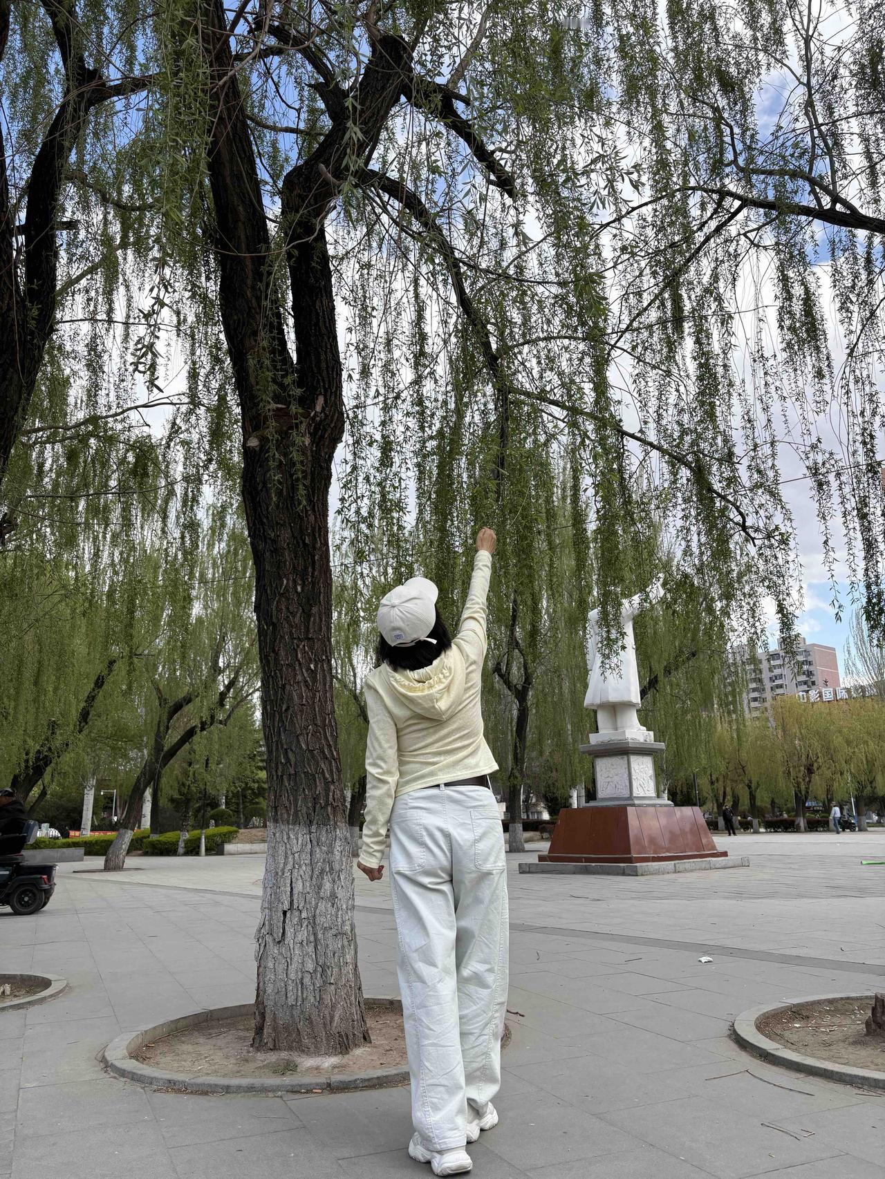 到了只能晒背影的年龄了。

过去总听某些人嘲笑街上的一类人：背影看上去像26，正