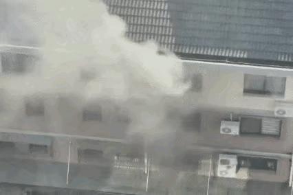 真是“贪小便宜吃大亏”
浙江一女子为了领几个免费鸡蛋
差点把家烧毁

女子把肉下