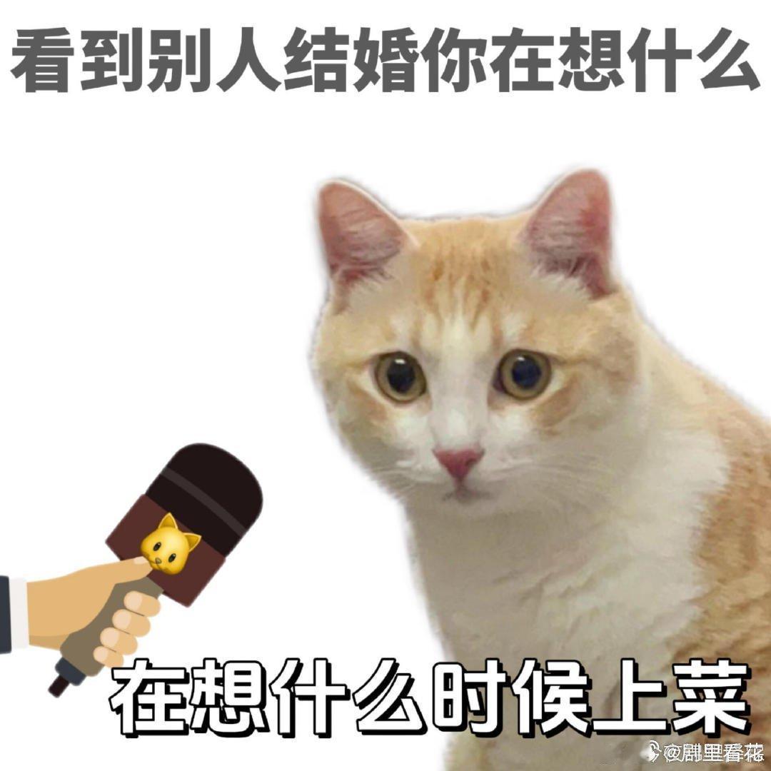 过年应付亲戚公式 太真实了！完美概括当代人过年状态，不想被过度关心，也不想失礼，