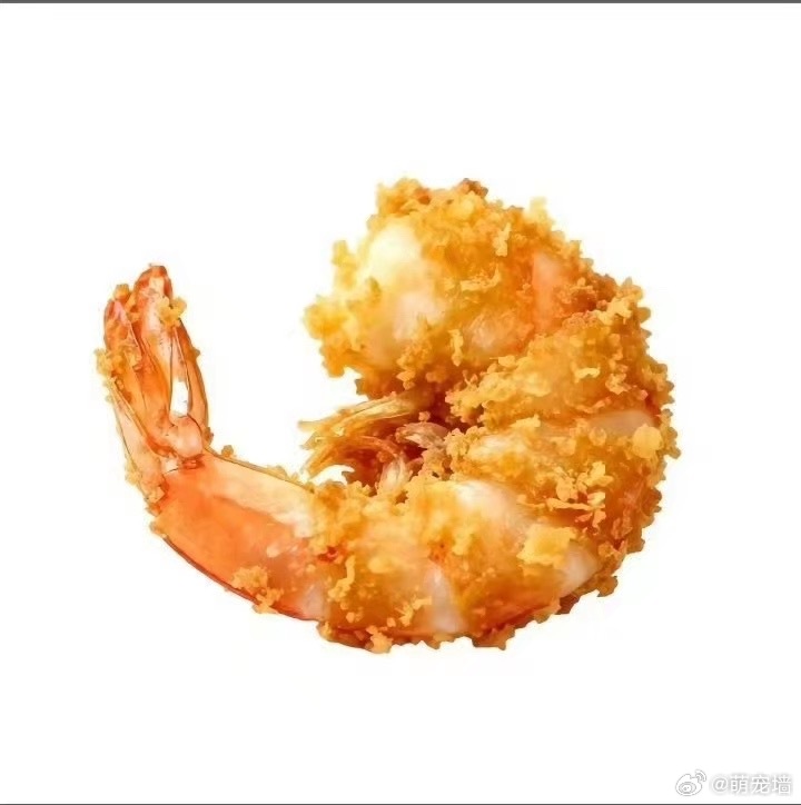 小猫的睡姿 
