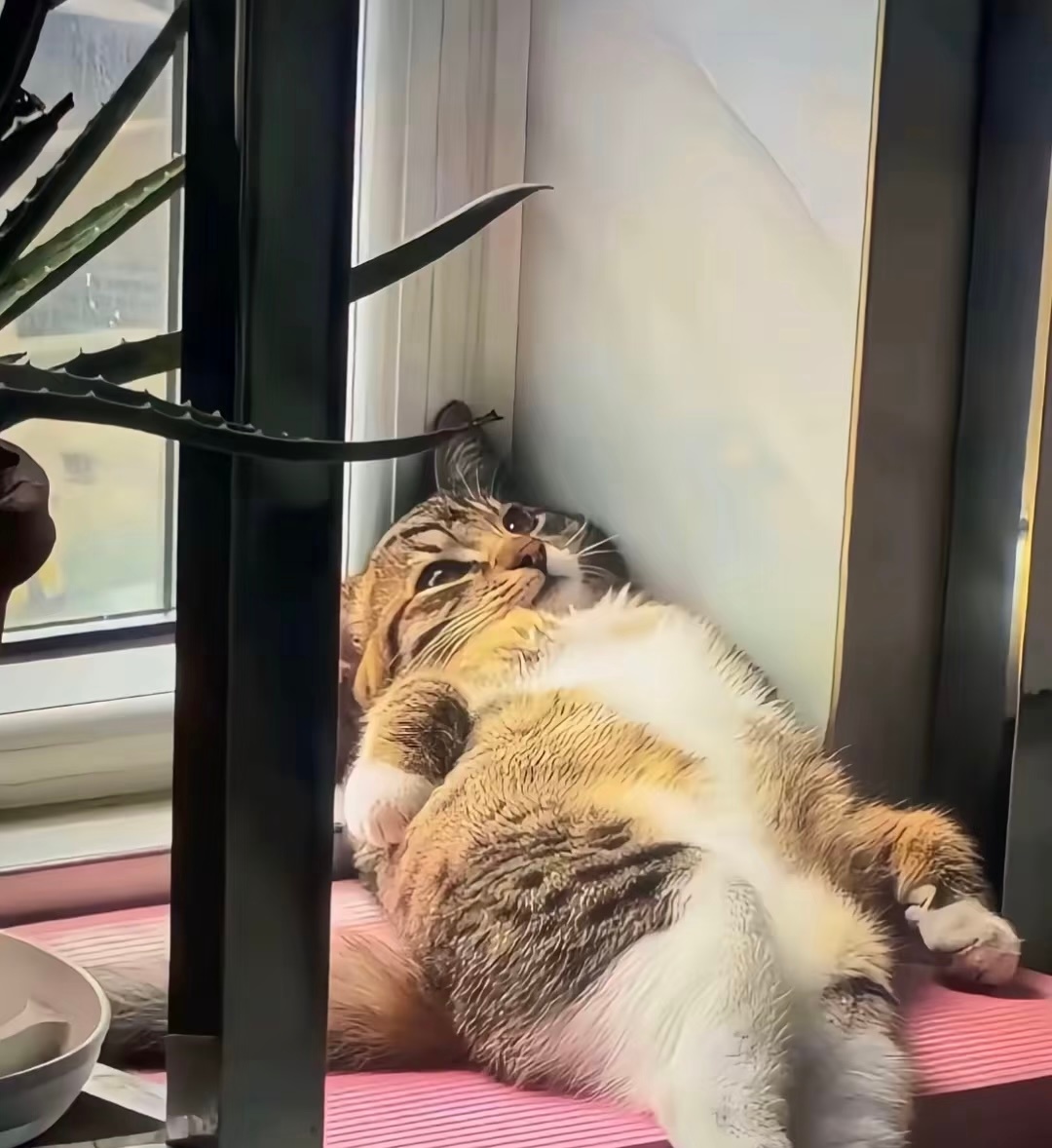 怎么今天才周一啊 ​​​