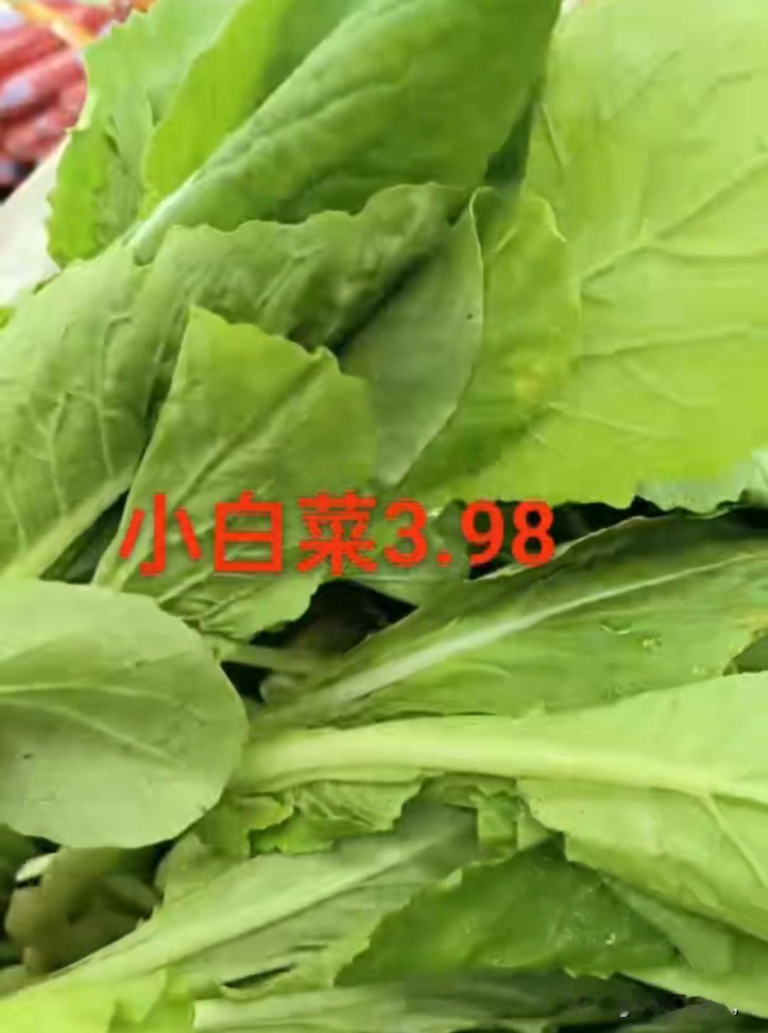 自家小菜园
 
自家开辟的小菜地看着面积不大，种出来的菜却怎么都吃不完。地里小白