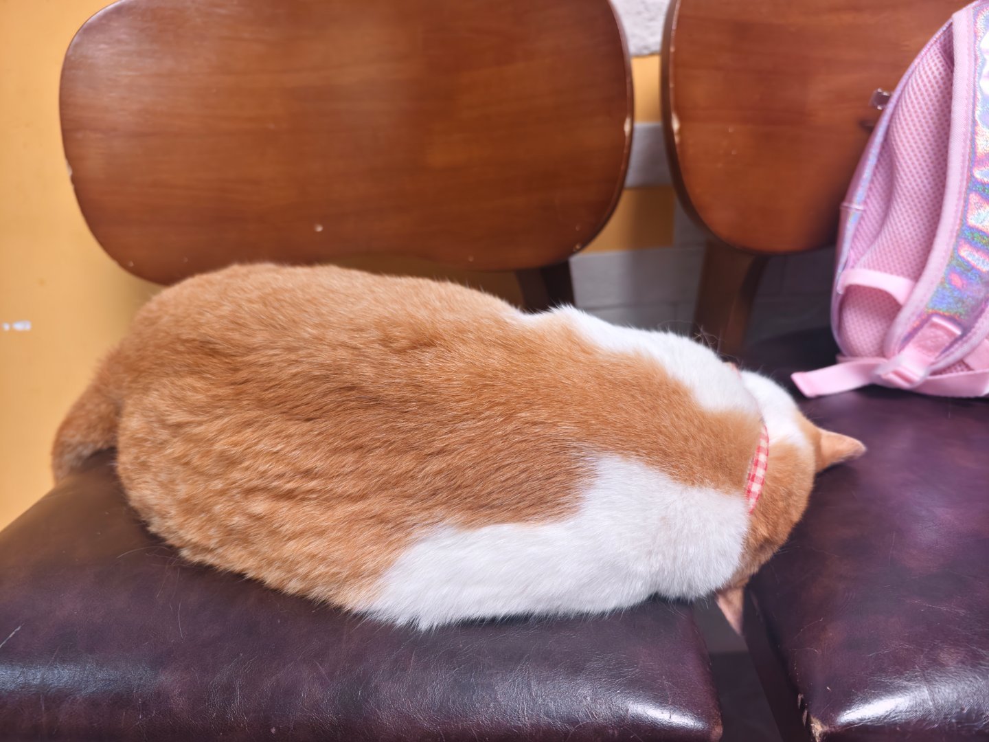 这头卡进去是会睡得更香吗 