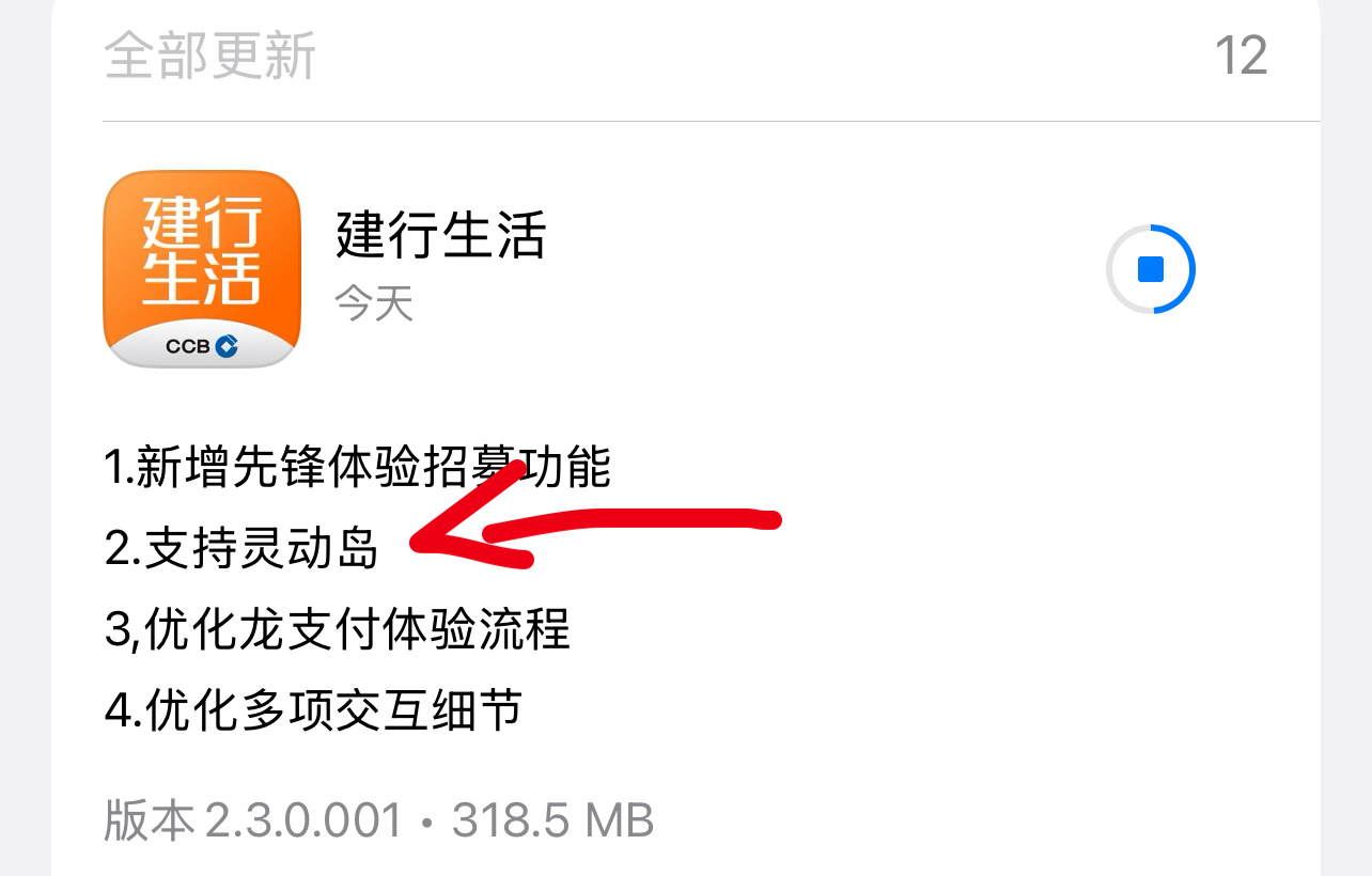 都几年了，才发现灵动岛还在适配啊，建行生活不算冷门 app 吧[哆啦A梦吃惊] 