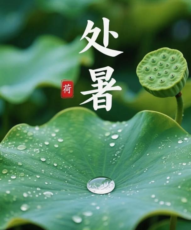 注意了！后天就迎来处暑节气啦！老话说 “处暑天还暑，好似秋老虎”

这句老话口口