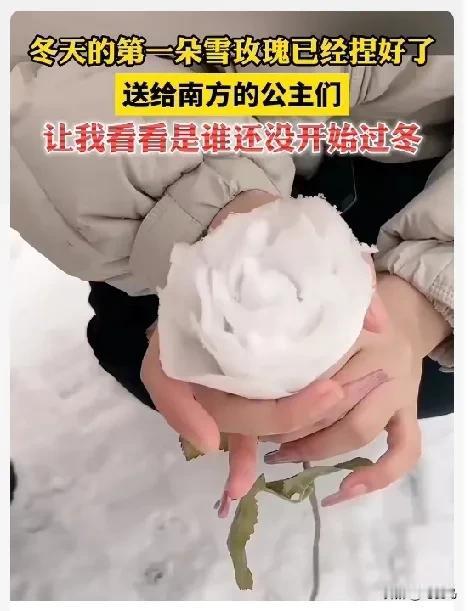 哈尔滨：属于北国的浪漫与温情，被这场雪演绎的淋漓尽致！

哈工大舞蹈队，轻盈跳跃
