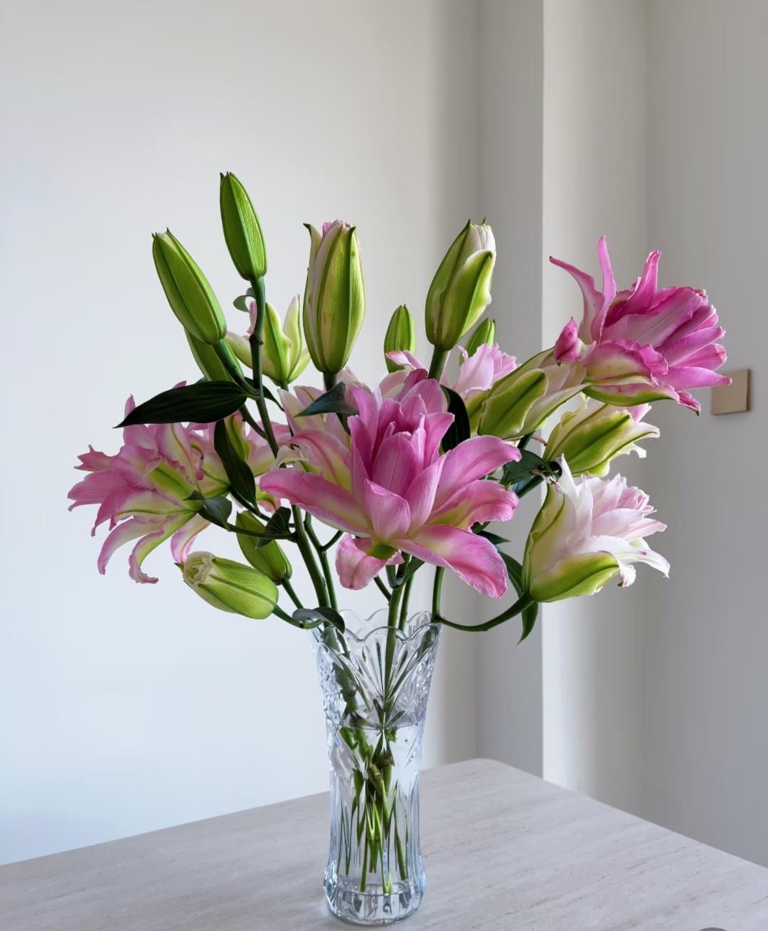 不明白有些老人为什么总在儿女面前露出一副可怜相。

中午带孩子补课回来一进门，婆