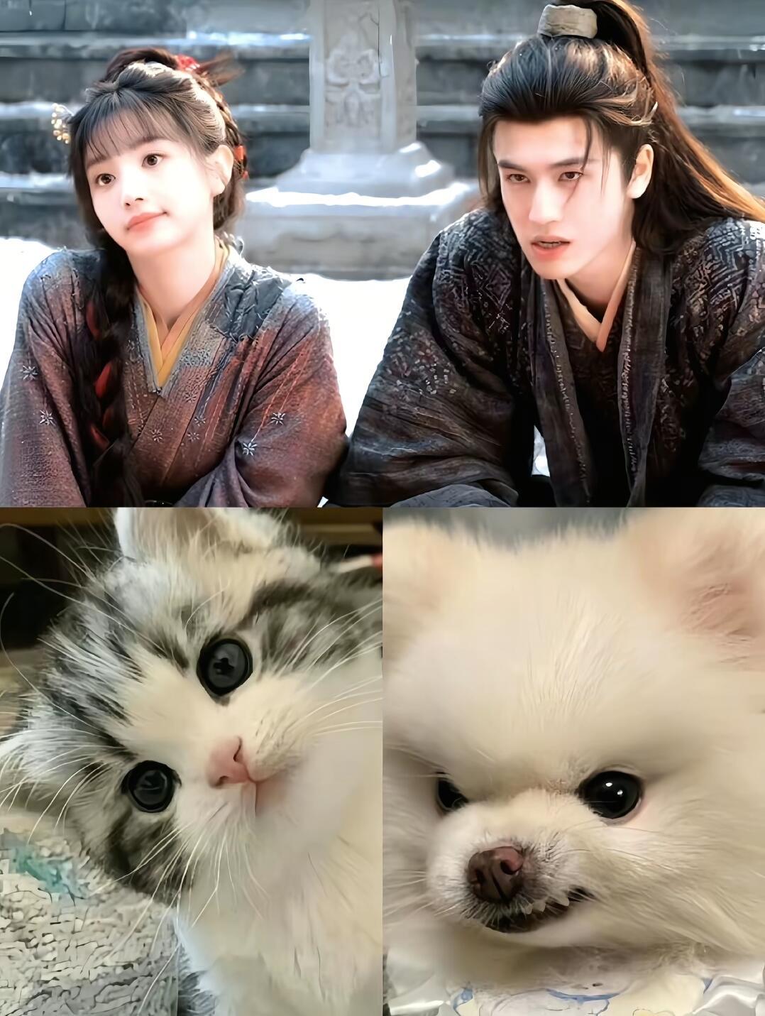 🐱.萌翻了吧.🐕 张凌赫田曦薇
