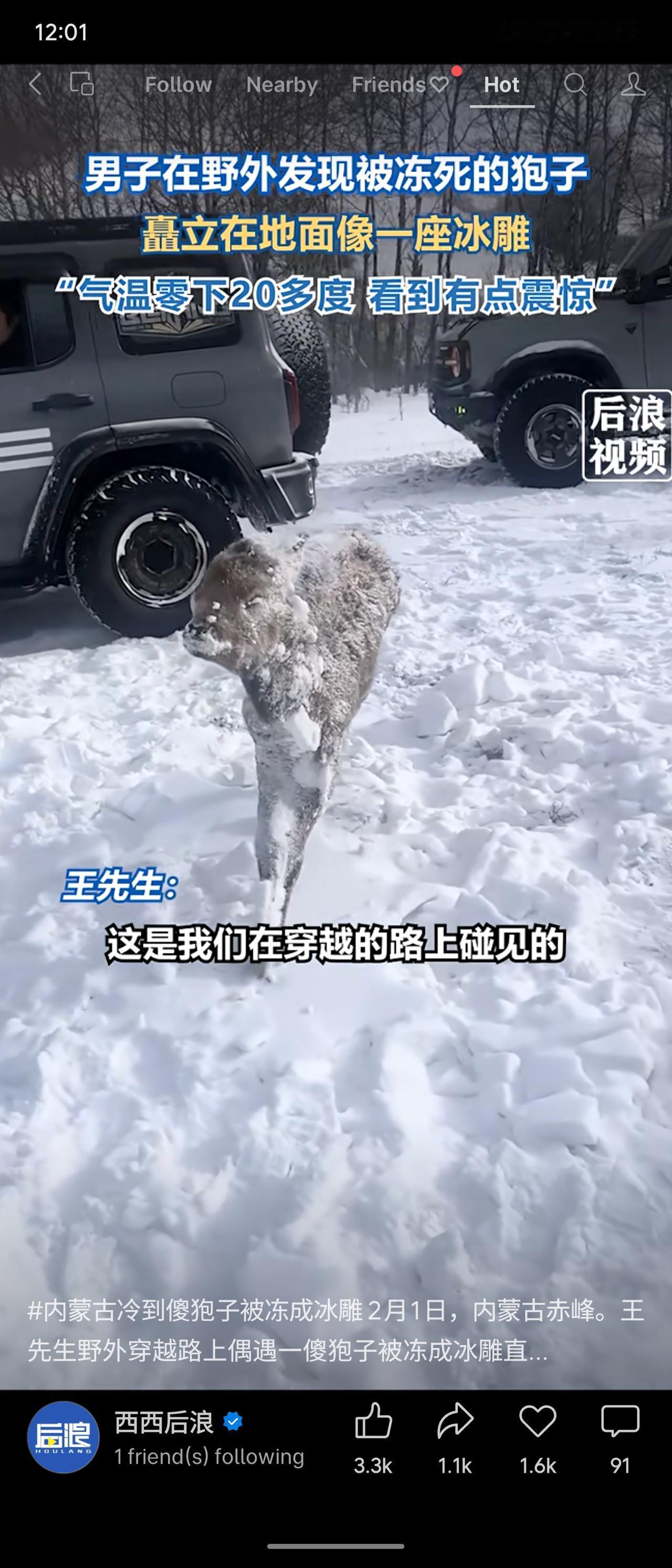 2月1日，内蒙古赤峰气温零下20多度，王先生在野外发现一只狗被冻成冰雕，北方极寒