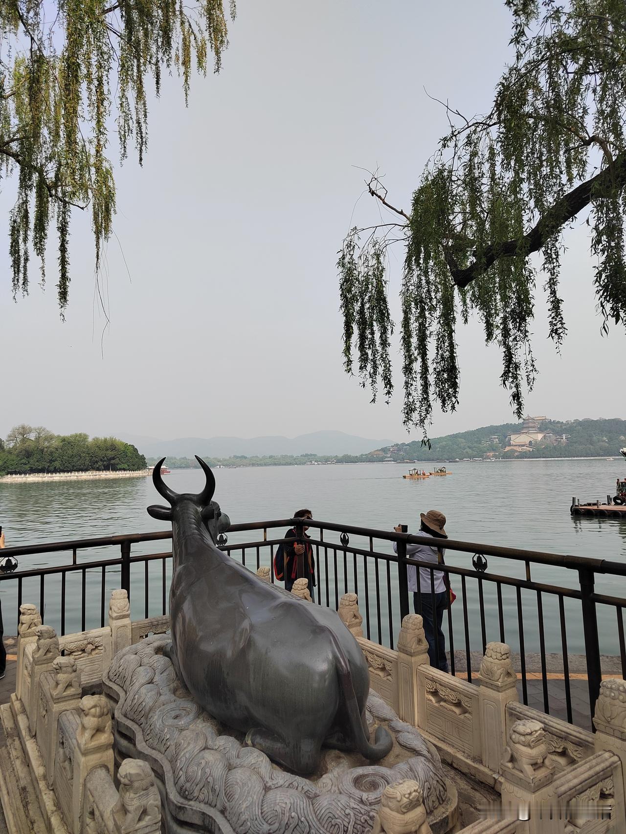 晒图笔记大赛春暖花开时节的颐和园，人来人往满是烟火气，春和景明藏尽万般美。北京的