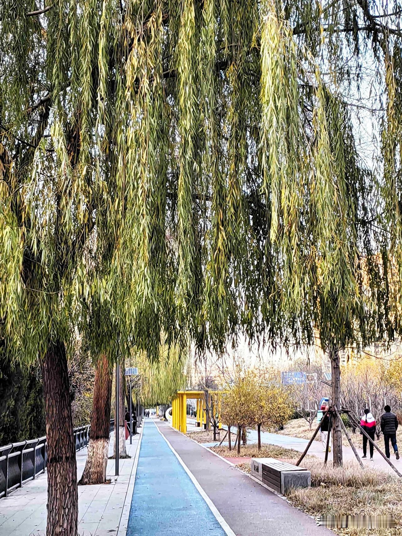 我的今日状态：😁轻松愉快
我这里的天气：☀️晴天

周日恰逢大雪节气，
上午去