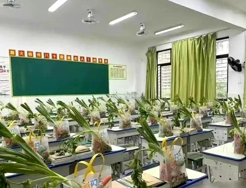 班主任看到这一幕，估计头都会大吧？ ​​​