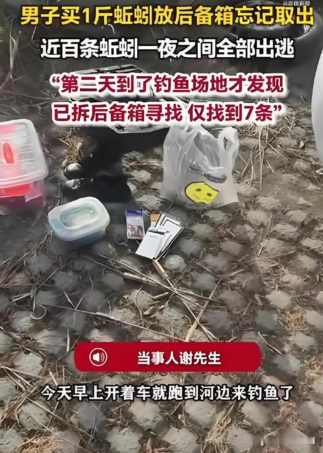 江苏徐州的谢先生前一晚买了一斤近百条蚯蚓，随手放进后备箱，到家后完全忘了取出来。