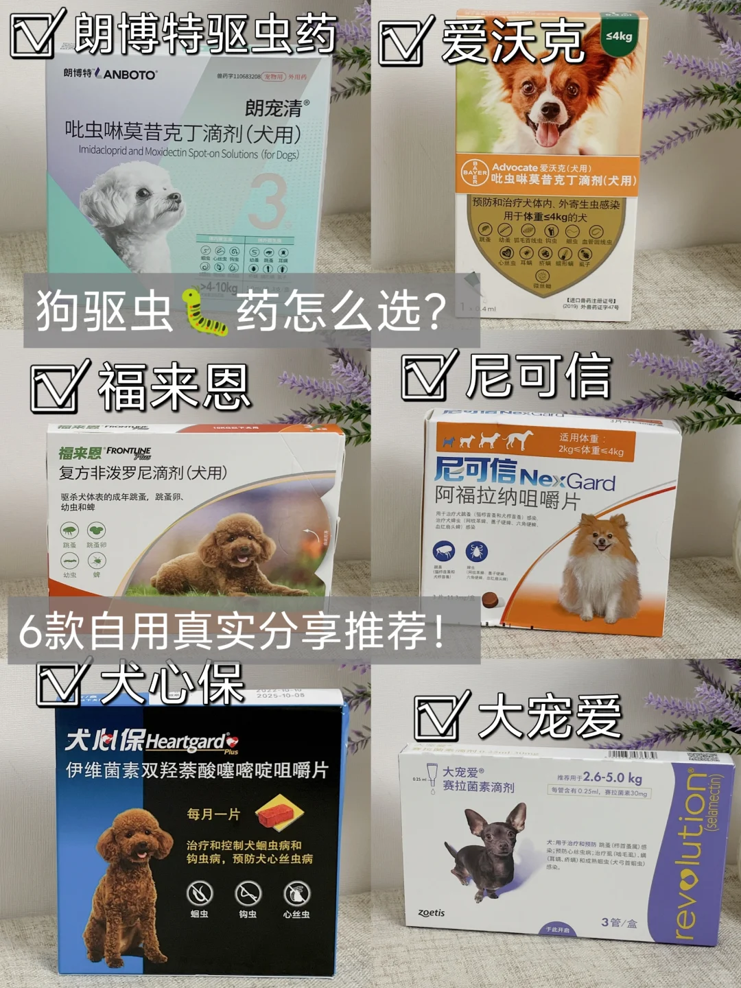 狗狗驱虫不彻底？这篇驱虫药测评必须码住