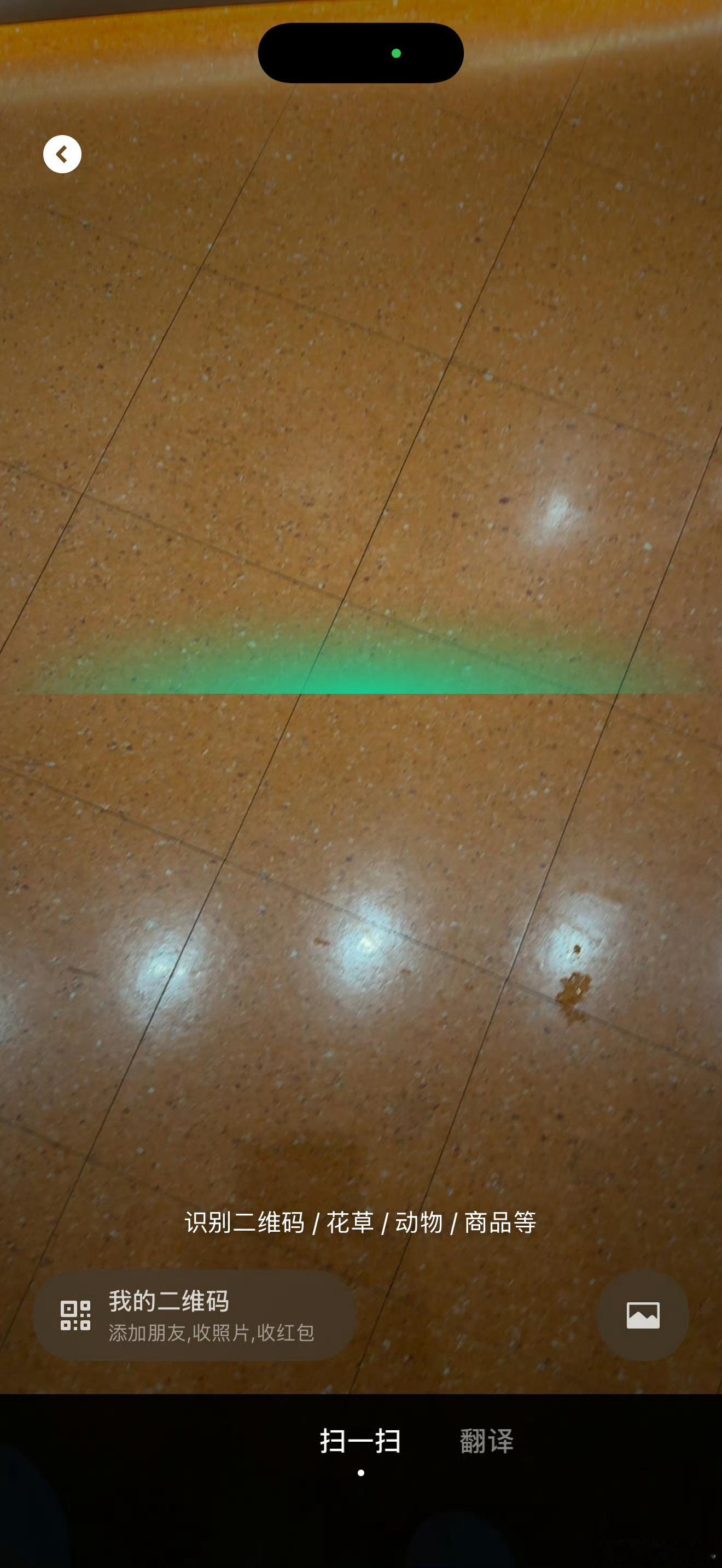 微信新功能面对面传照片可发送照片、视频和文件，无需添加好友，传输过程中无需流量