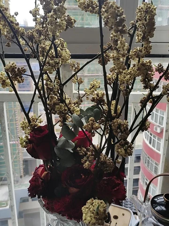 分享一张随手拍的花。