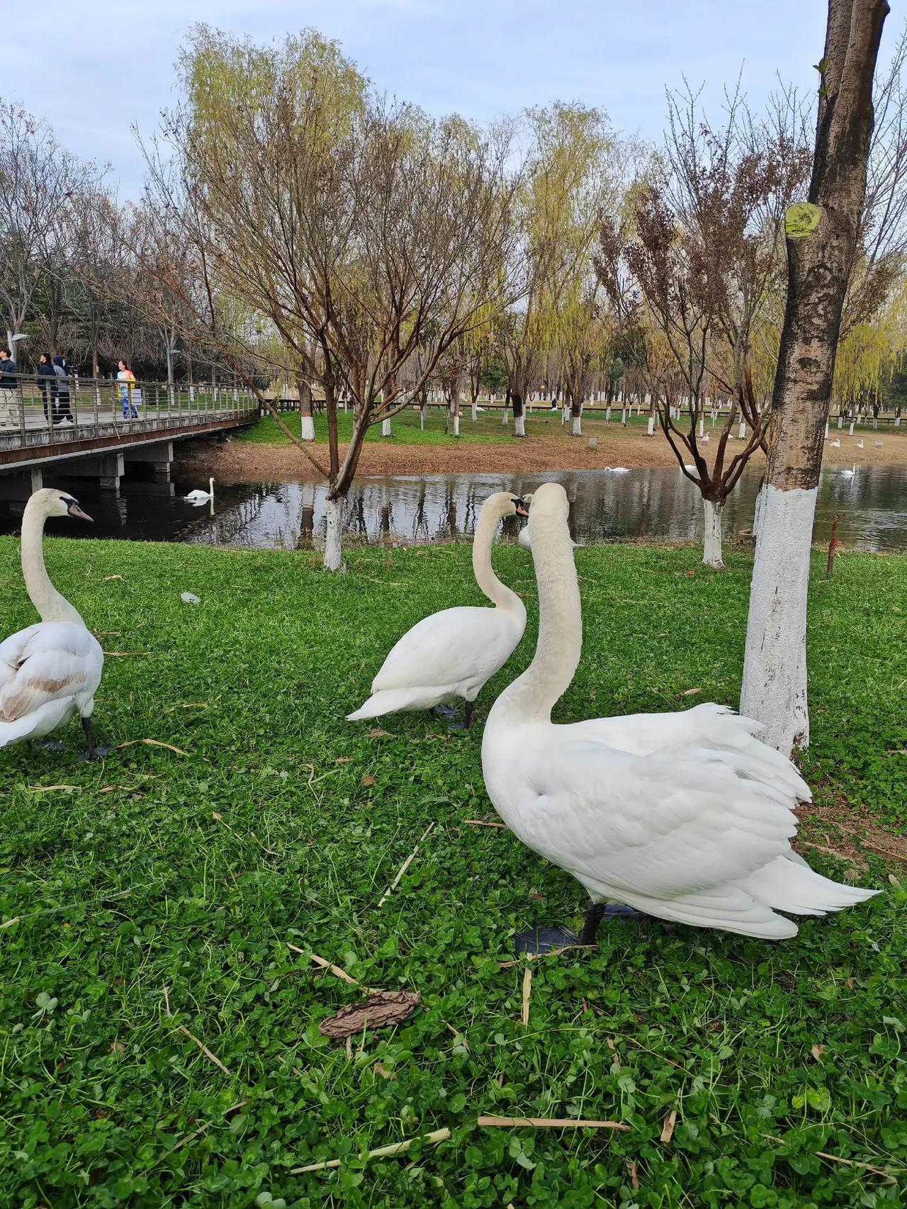 随变一拍都很夯