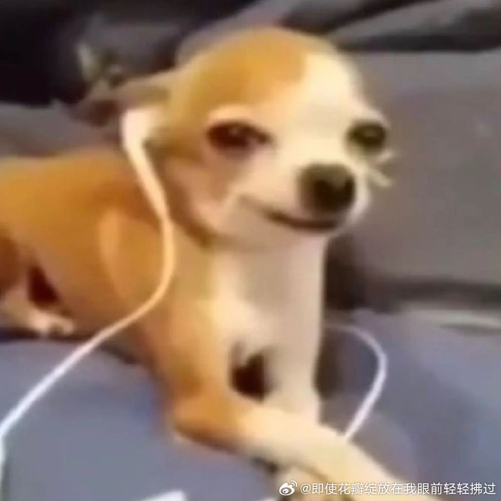 分享图片 