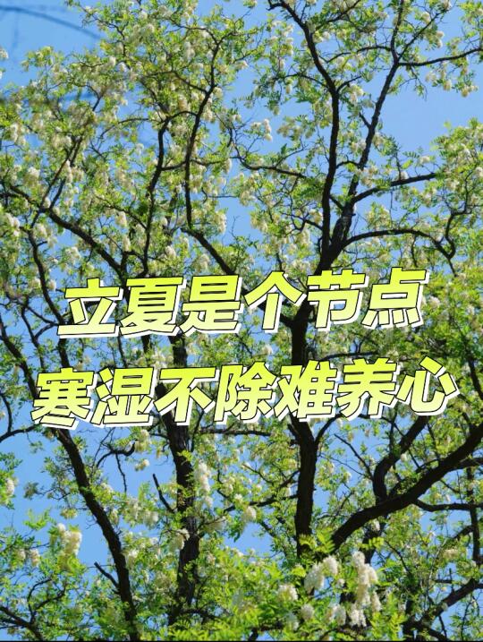 中国女孩有自己被爱方式