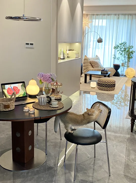 29岁和猫🐈独居，有烟火气才是家🏠的味道～