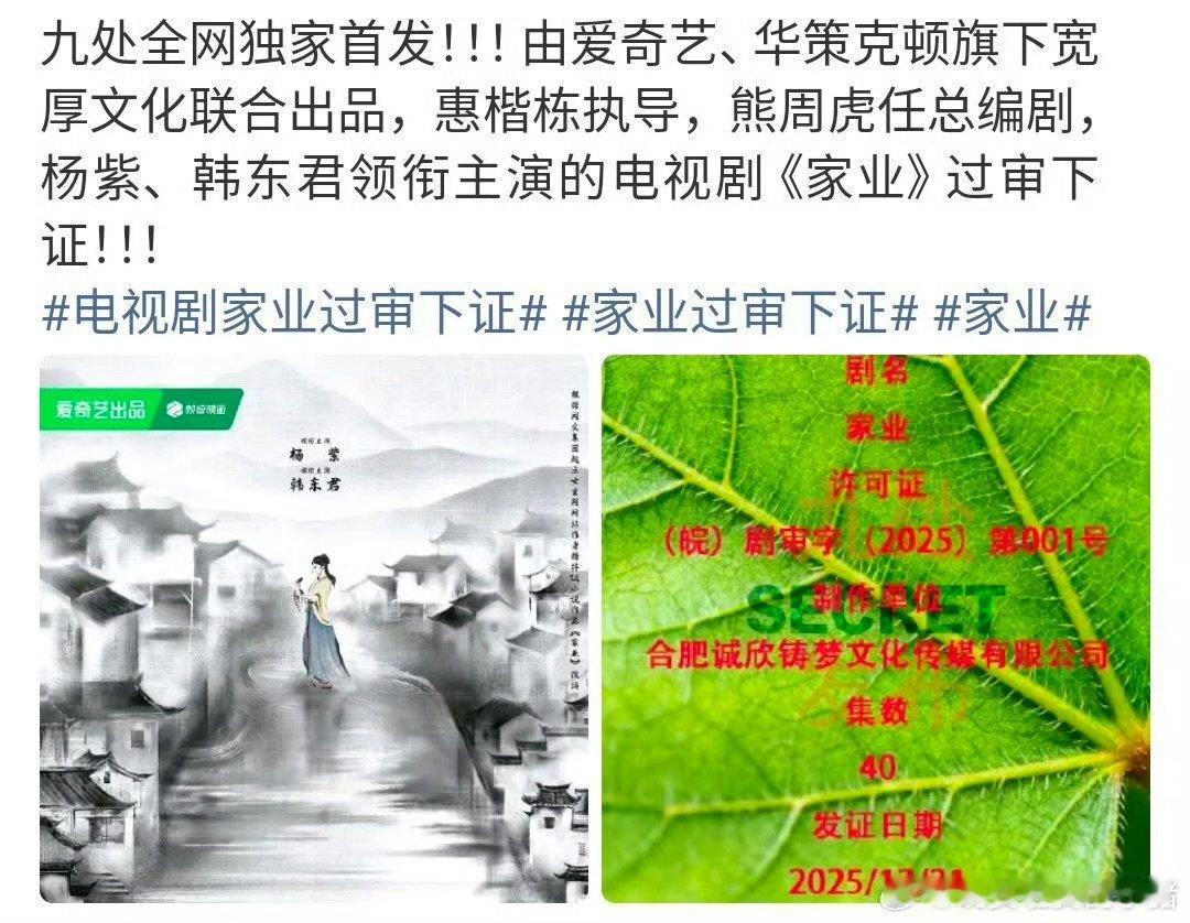 杨紫家业过审下证了杨紫家业过审下证了