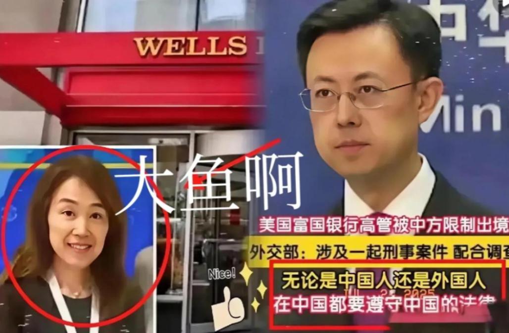 原来，茅晨月是一条“大鱼”啊！
这位出生于上海、常年往返中美两地的 “金融精英”