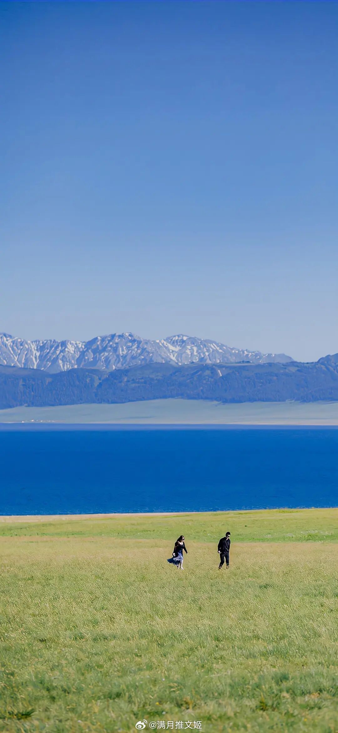 我的灵魂是一棵常春藤，散发绿色光芒，结满冰霜，为了寻找你，缓缓攀爬白日的城墙。—