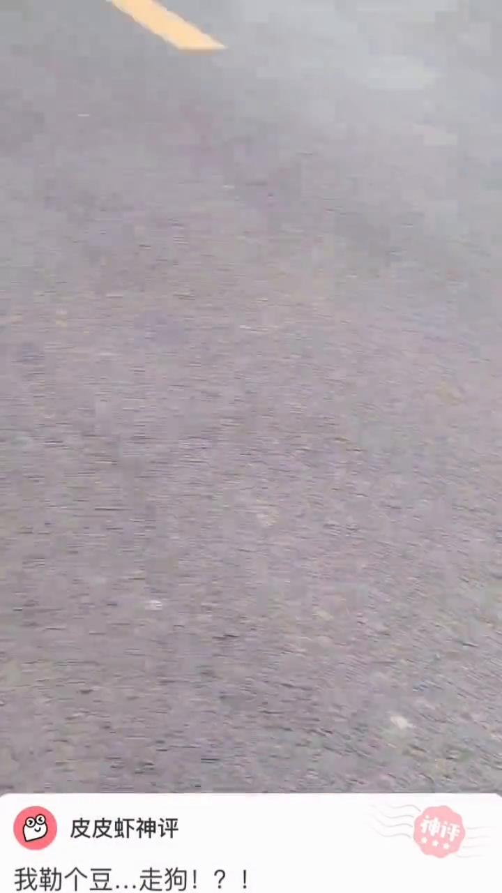 皮皮虾神评。
我勒个豆走狗。