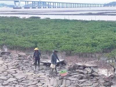 【温州无人机喊话赶海群众撤离】"台风快来了，抓紧撤离！"8月27日上午，乐清南塘
