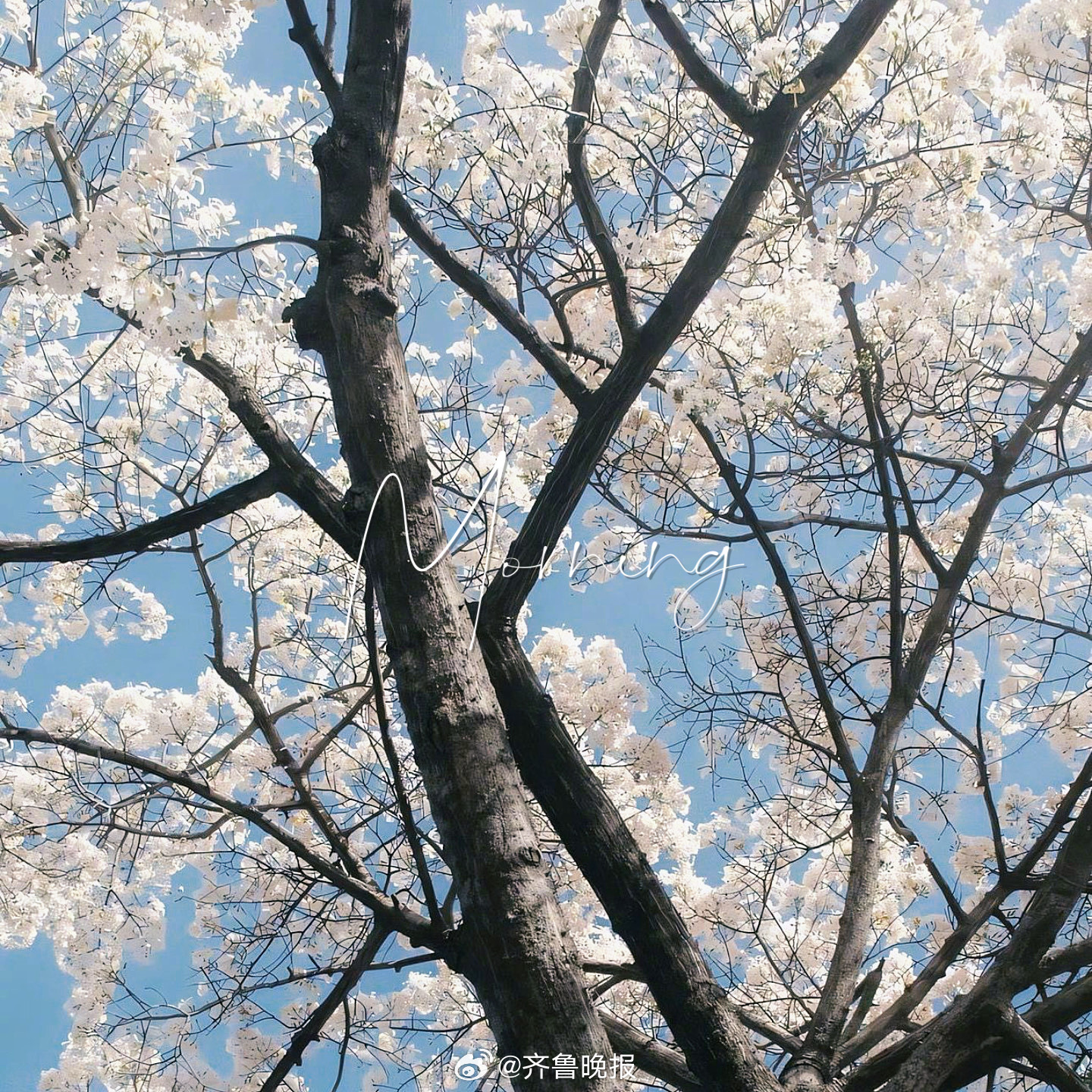 且听且忘且随风[太阳]#早安# ​​​