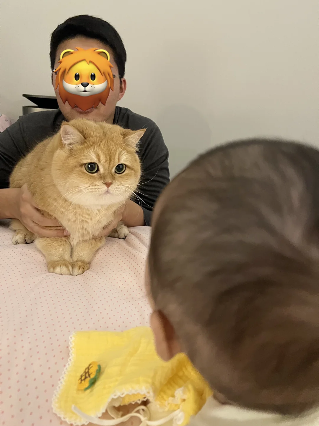🐱人，听说你给咪找了份育儿嫂的工作？