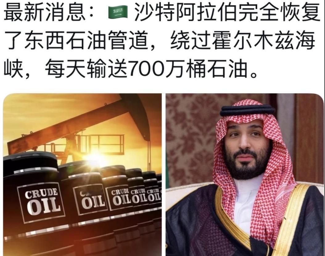 终于知道，巴基斯坦军队进驻沙特的主要目的和任务了。巴基斯坦派出的不是防空部队，而