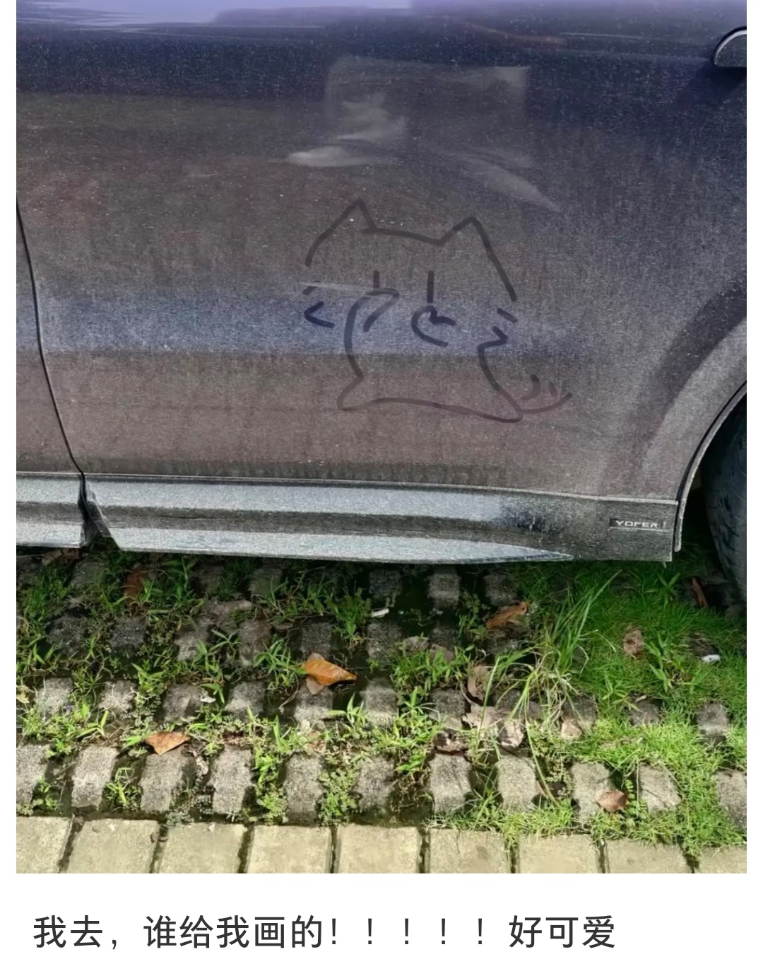 好可爱哦 