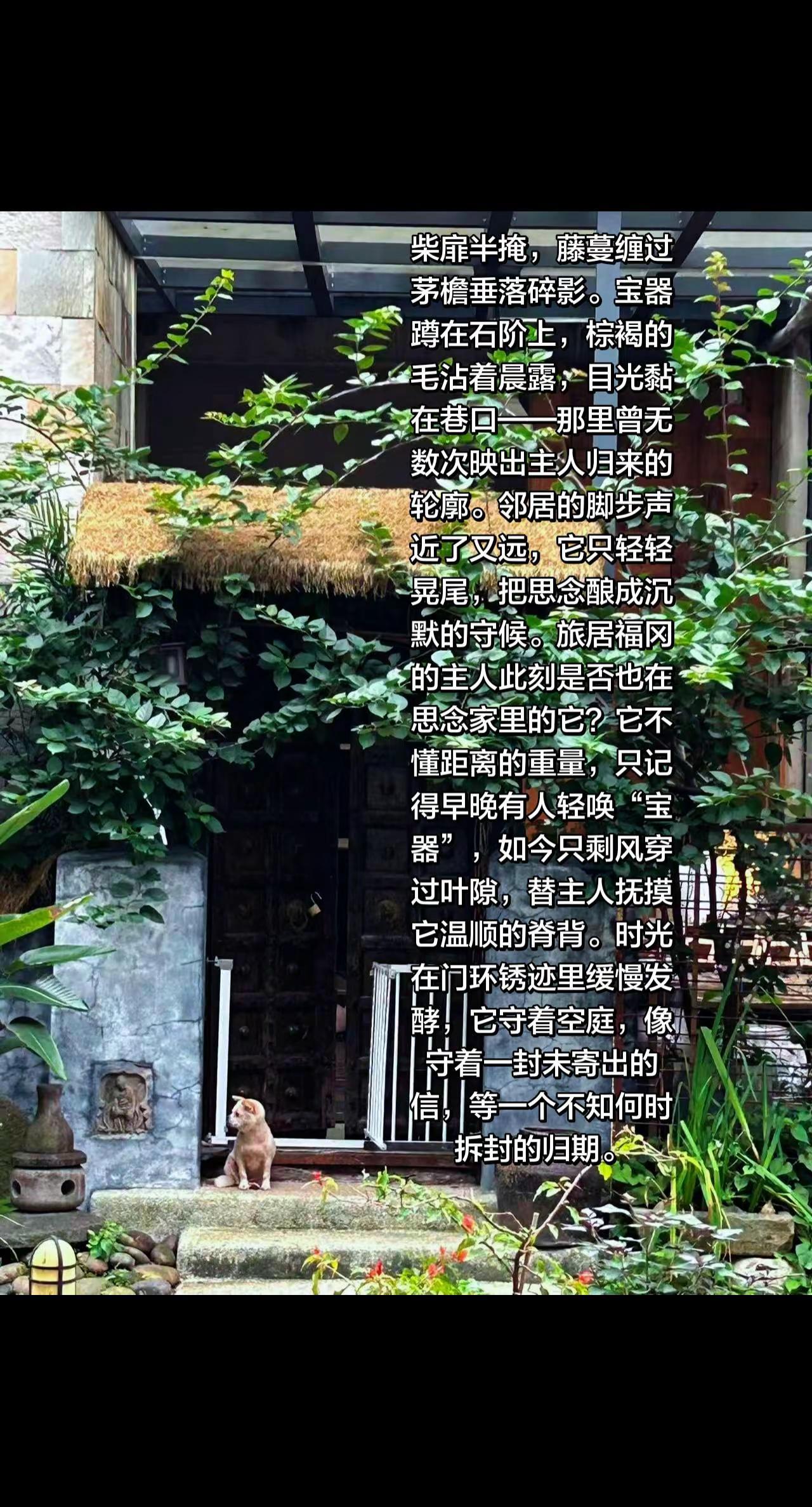 盼归