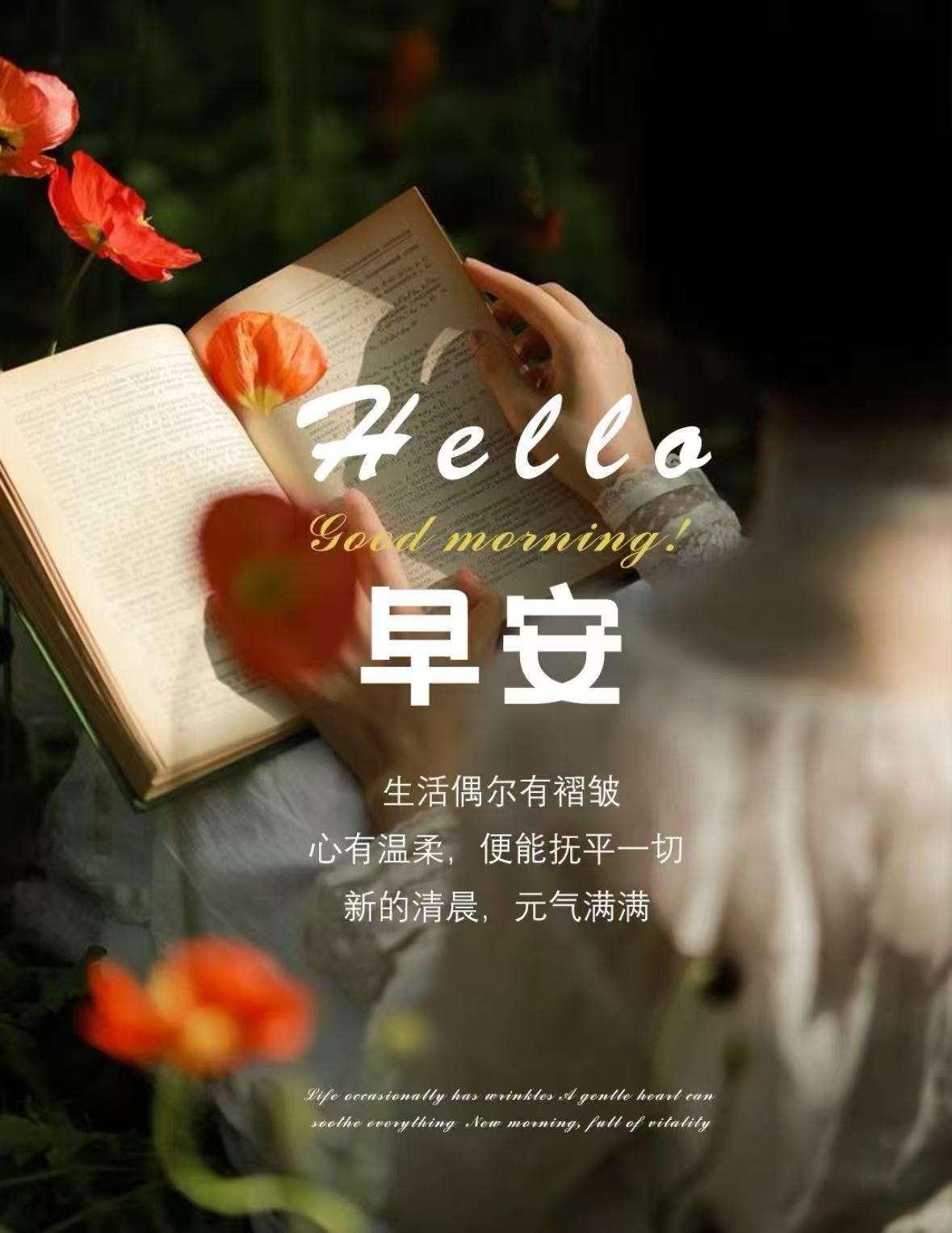 𝙈𝙤𝙧𝙣𝙞𝙣𝙜 ﾉ☀🌱 新的一天，向阳而生不必追赶光芒 自有万丈