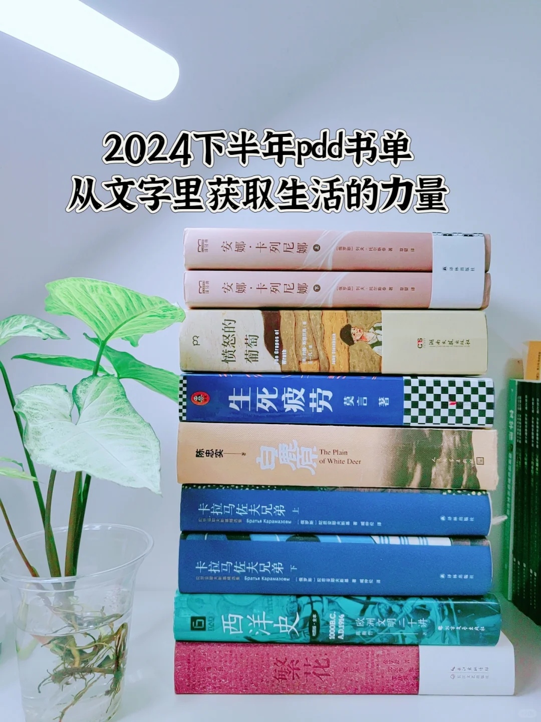 下半年书单｜从文字里获取生活的力量