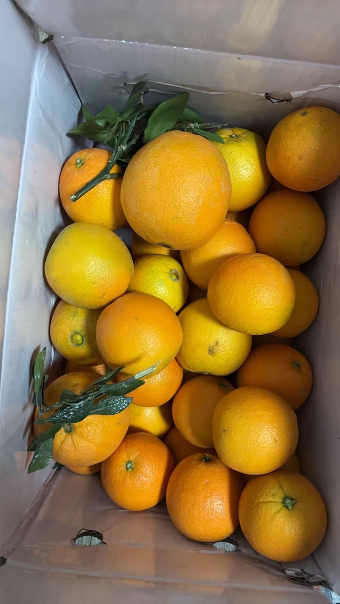 快来一起尝个鲜