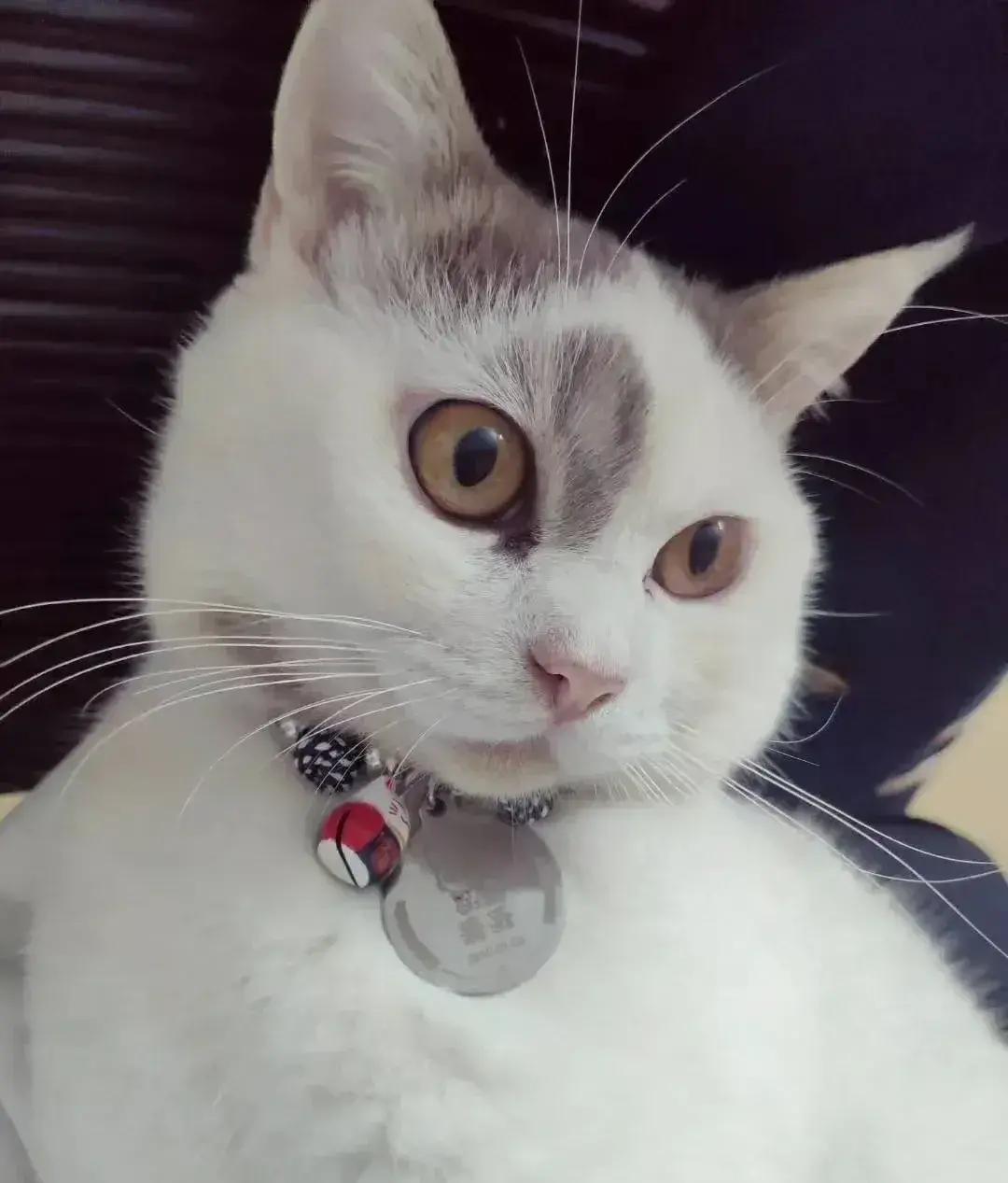 高温午后，一小区充电点突发电动车自燃大火，5辆车瞬间化为焦炭，一辆“幸存者”竟泪