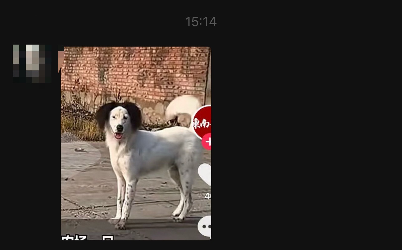 我真的会愤怒，我同事上着班转过来和我说看一个特别像我的，我说我不看，她非给我发过