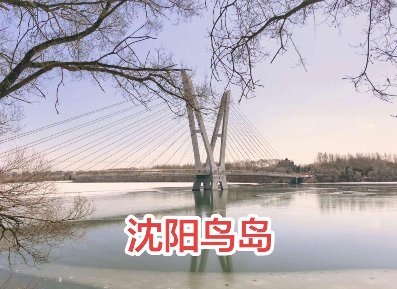 沈阳人春天必来的地方，我替你们先到！上热门🔥 户外休闲徒步  沈阳鸟岛攻略 周