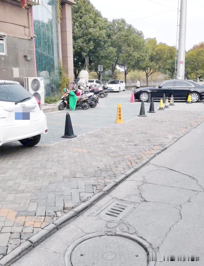 大理网民向市委书记留言反映园丁路道路被锥桶占用

园丁路周围小区占用人行道最为停