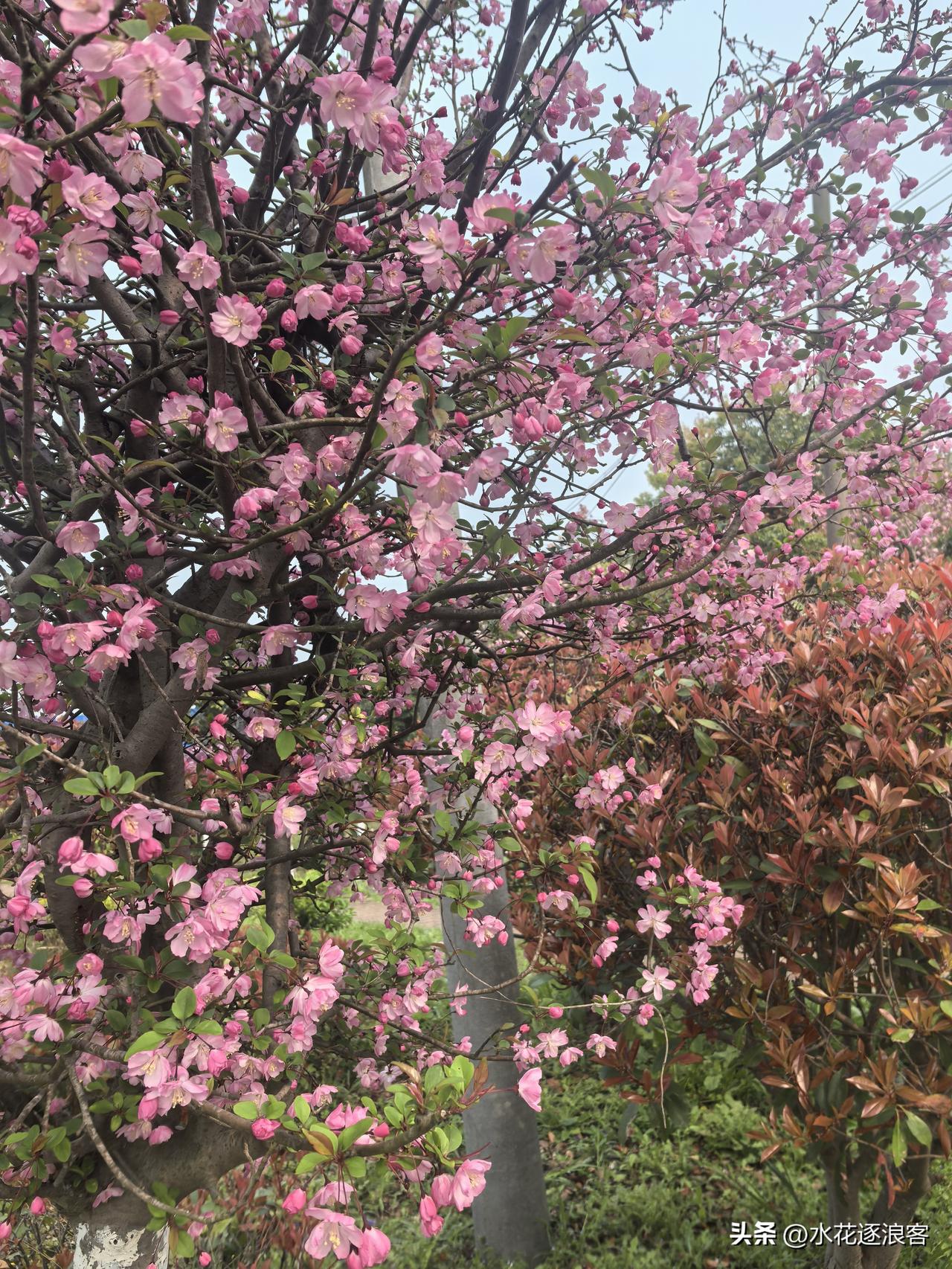 暮色

黄昏是从檐角开始的。

先是那片斜斜的日光，从刺目的白，一点一点，软成了